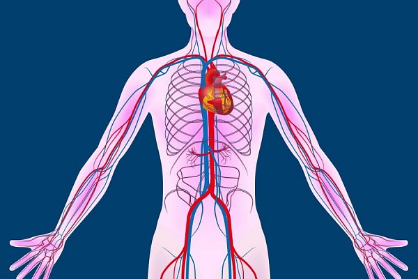 Program prevence aneurysmatu abdominální aorty