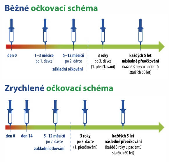 Klíšťová encefalitida - očkovací schéma